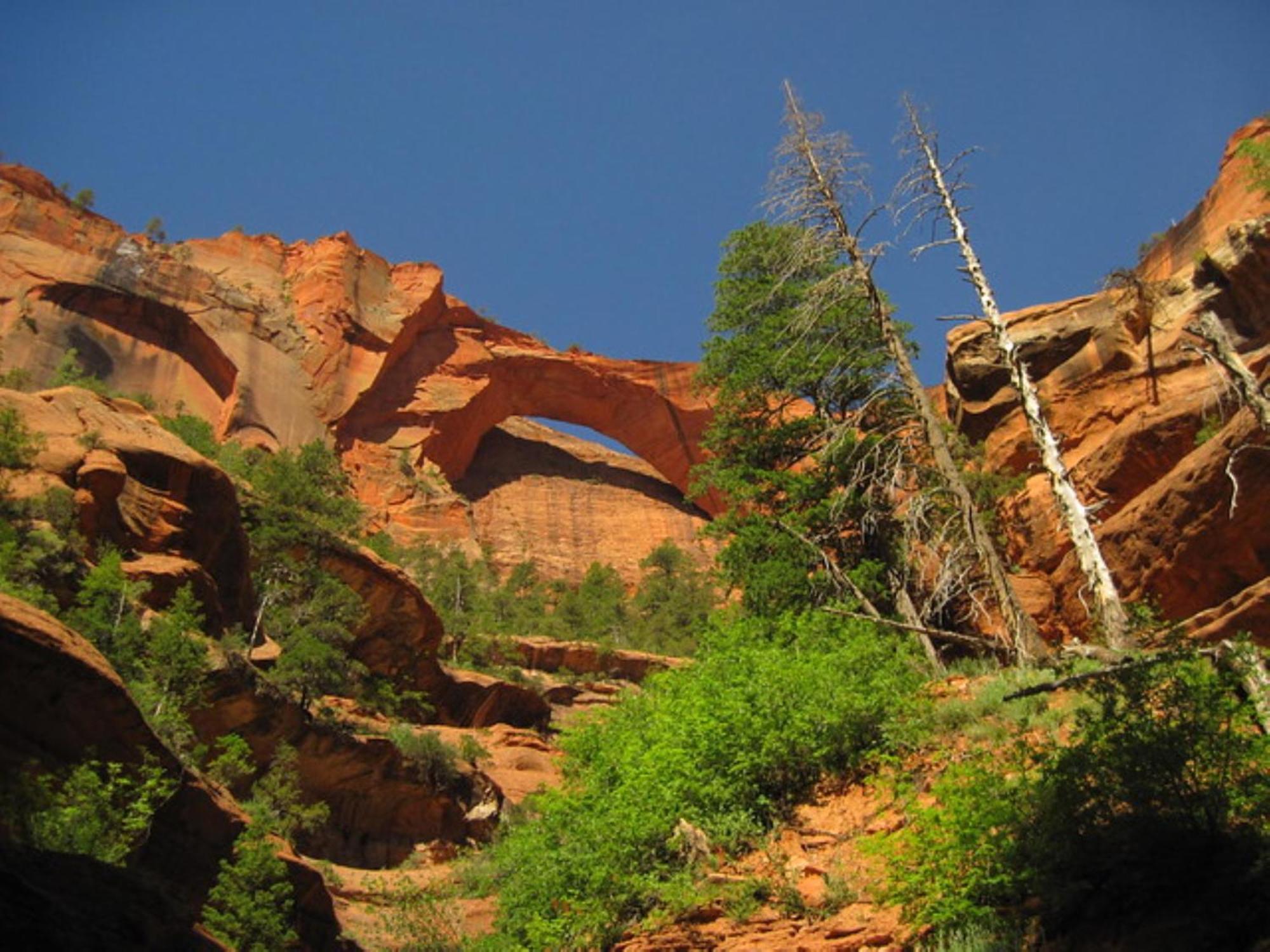 Holiday Inn La Verkin - Zion Park By Ihg Dış mekan fotoğraf